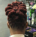 Wide angle view of a group of individuals with traditional locs