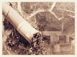 _Smoker's Coughin__#photooftheday #photoadaychallenge #indyphotography #photoshoot