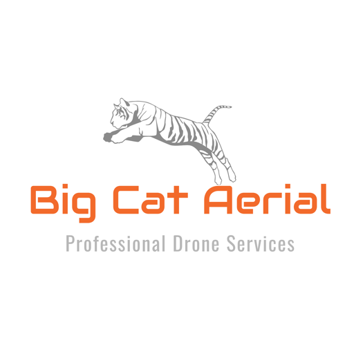 Big Cat Aerial - Logo