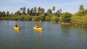Kayaking Kappalady Lagoon, Kalpitiya, Sri Lanka