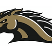 Sunlake High School Football Opponent Logo