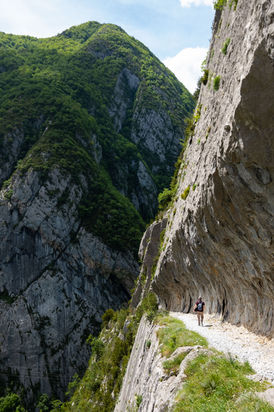 Chemin de la Mâture. Béarn. Pyrénées-Atlantiques.