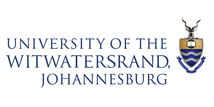 WITS-logo-full-colour-600x300.png.jpeg