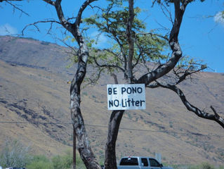 What Does Da Kine Mean? 10 Hawaiian Pidgin Words to Know