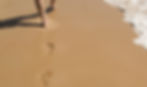 ree