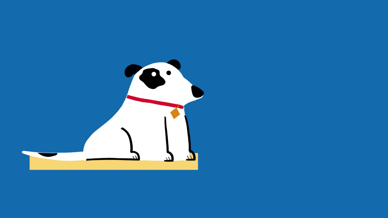Animali.gif