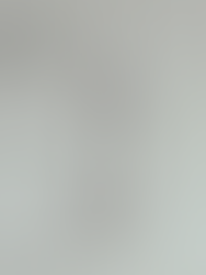 Navigating a Crowded Market: Strategies and Lessons from Top Books