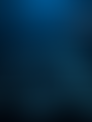 Free Shipping vs Shipping Fees: Which Strategy Works Best for Your E-commerce Business?