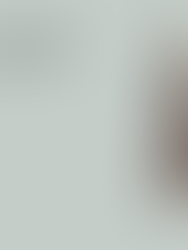 The Influencer Game: A Tale of Power, Deception, and Marketing in the Digital Age