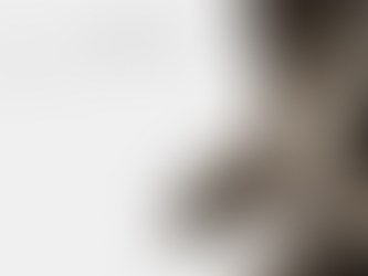 Five Indicators Of A Winning Business Mindset