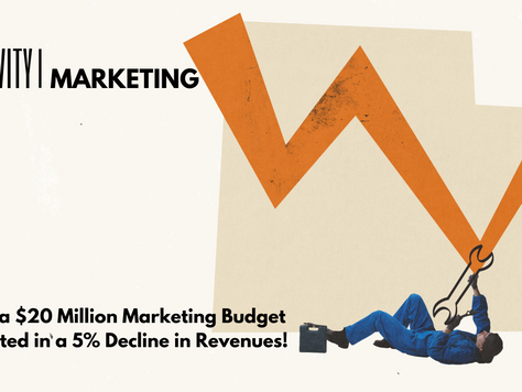 Wasted: $20 Million Marketing = 5% Decline in Revenues!