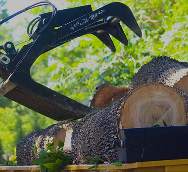 Mechanical claw lifting logs; trees in background; All Pro Tree Service