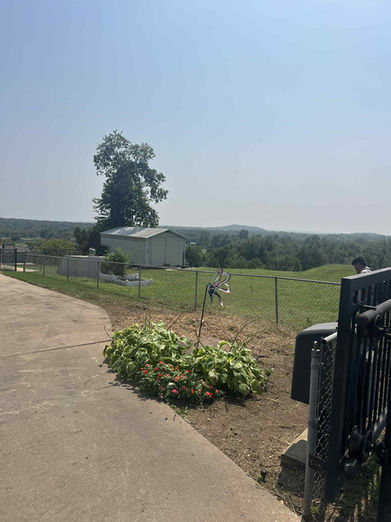 After large tree is removed and area is cleaned up by All Pro Tree Service