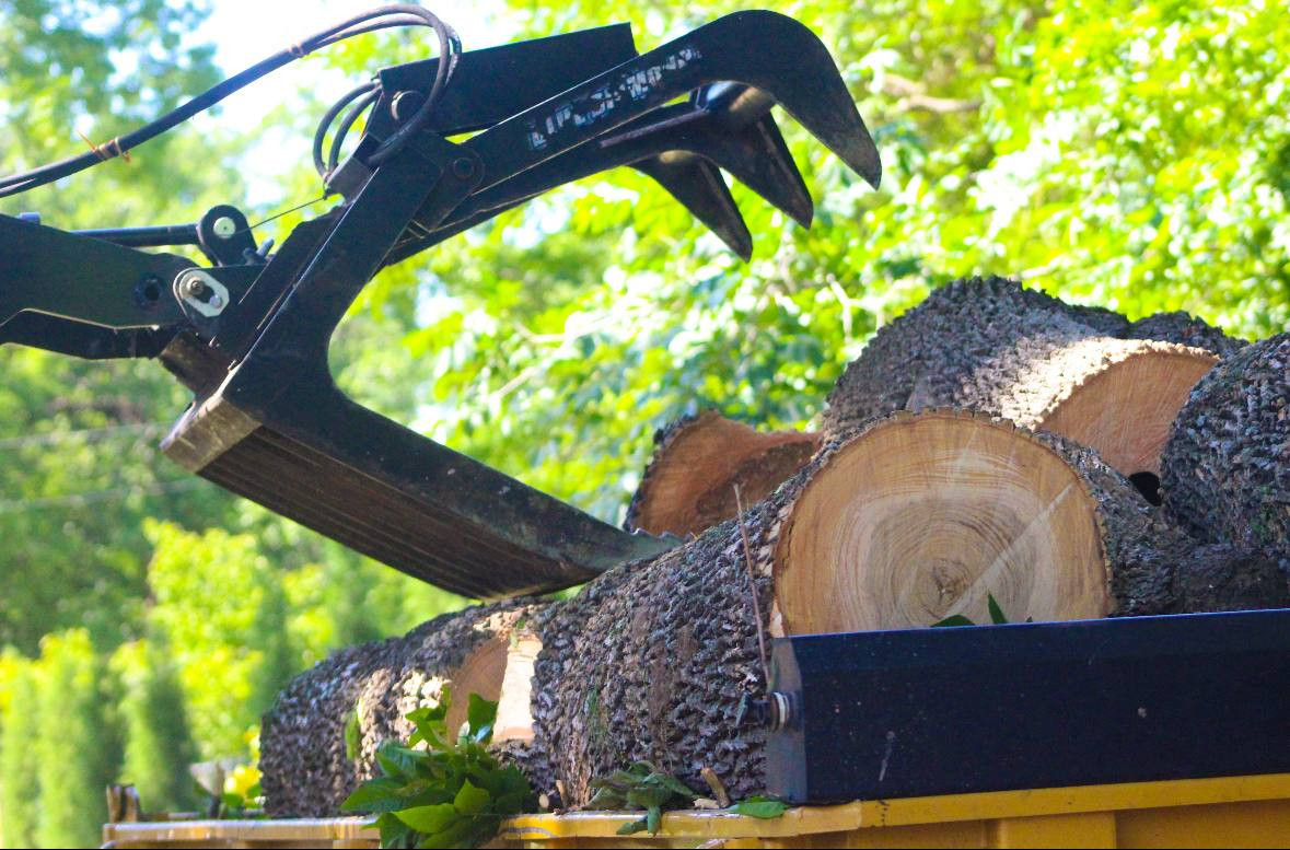 All Pro Tree Service Inc | Tree Removal in Tulsa, OK