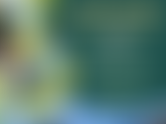 Special Needs Easter Egg Hunt