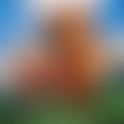 スピリット スタリオン・オブ・ザ・シマロン(2002)