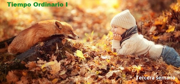 Señor, eres mi total Confianza. Viernes, 29 de enero 2021 - (Reflexión)