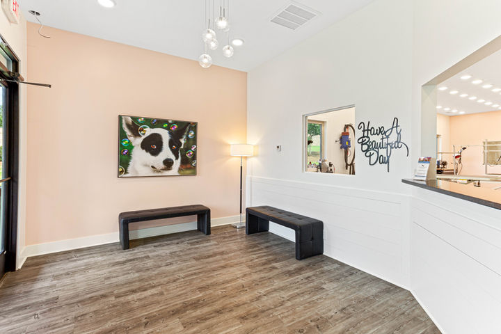 Grooming salon lobby.