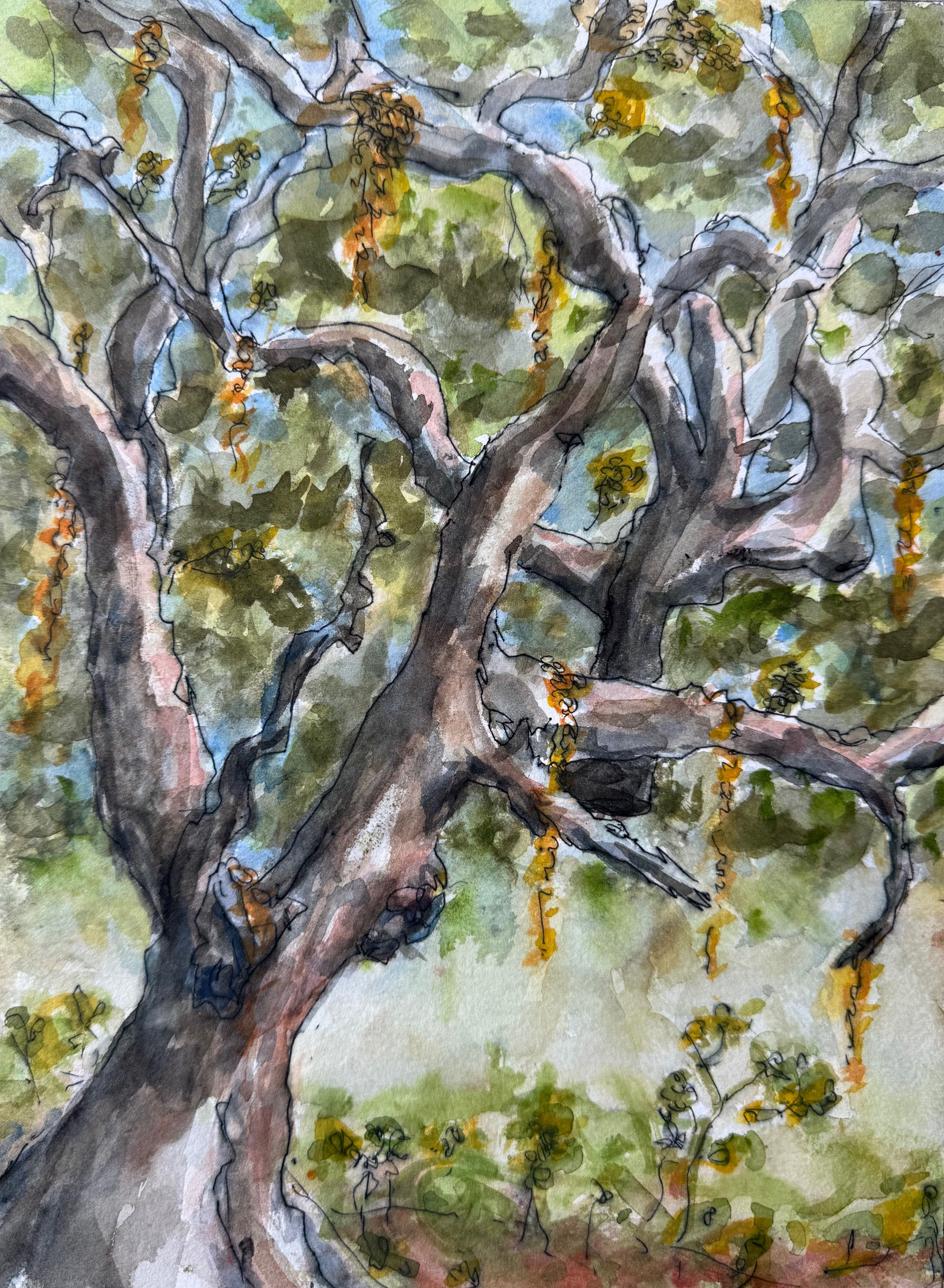 The Gnarled Tree