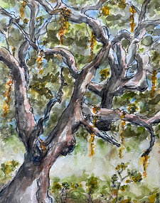 The Gnarled Tree