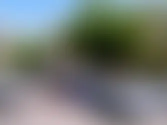 Soste irregolari e parcheggi selvaggi a Cosenza, il Tar dà ragione ai "nostri" commercianti. Annullato il diniego di autorizzazione per l’installazione di dissuasori di sosta.