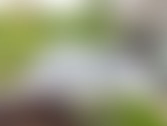 Patios For Your Outdoor Landscape