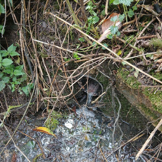 pipework for part of a septic tank installation