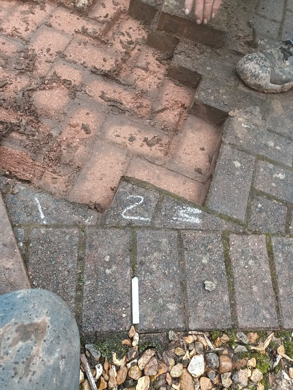 The One With The Blocked Drain