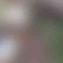 full septic tank installation eccleshall