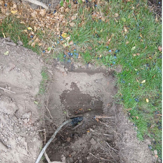 trenches for a septic tank installation