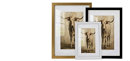 FA FRAMING GLASS.png