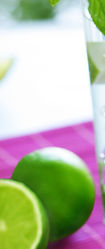 Fresh Mojitos