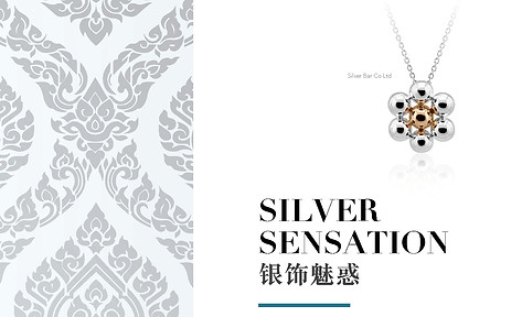 Silver Sensation_Page_2.jpg