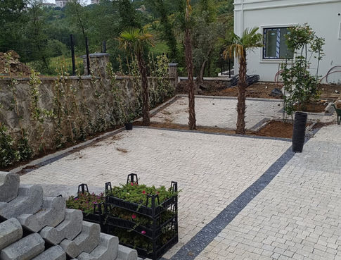 Ev bahçesi peyzajı: Taş döşeme, bitkiler ve malzemeler