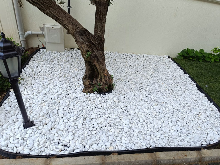 Beyaz çakıl taşı bahçe peyzajı