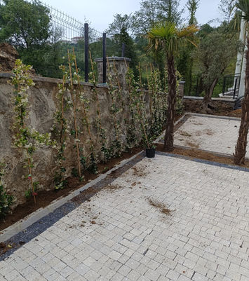 Taş duvar ve bitkilerle güzel bahçe peyzajı