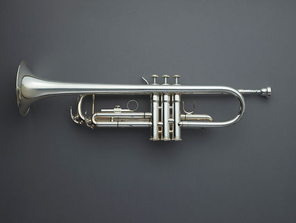 B1