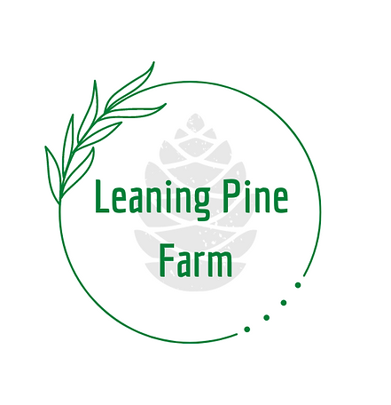 Leaning Pine Farm (5).png