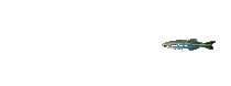 R (3).gif