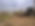 IMG_6433.jpeg