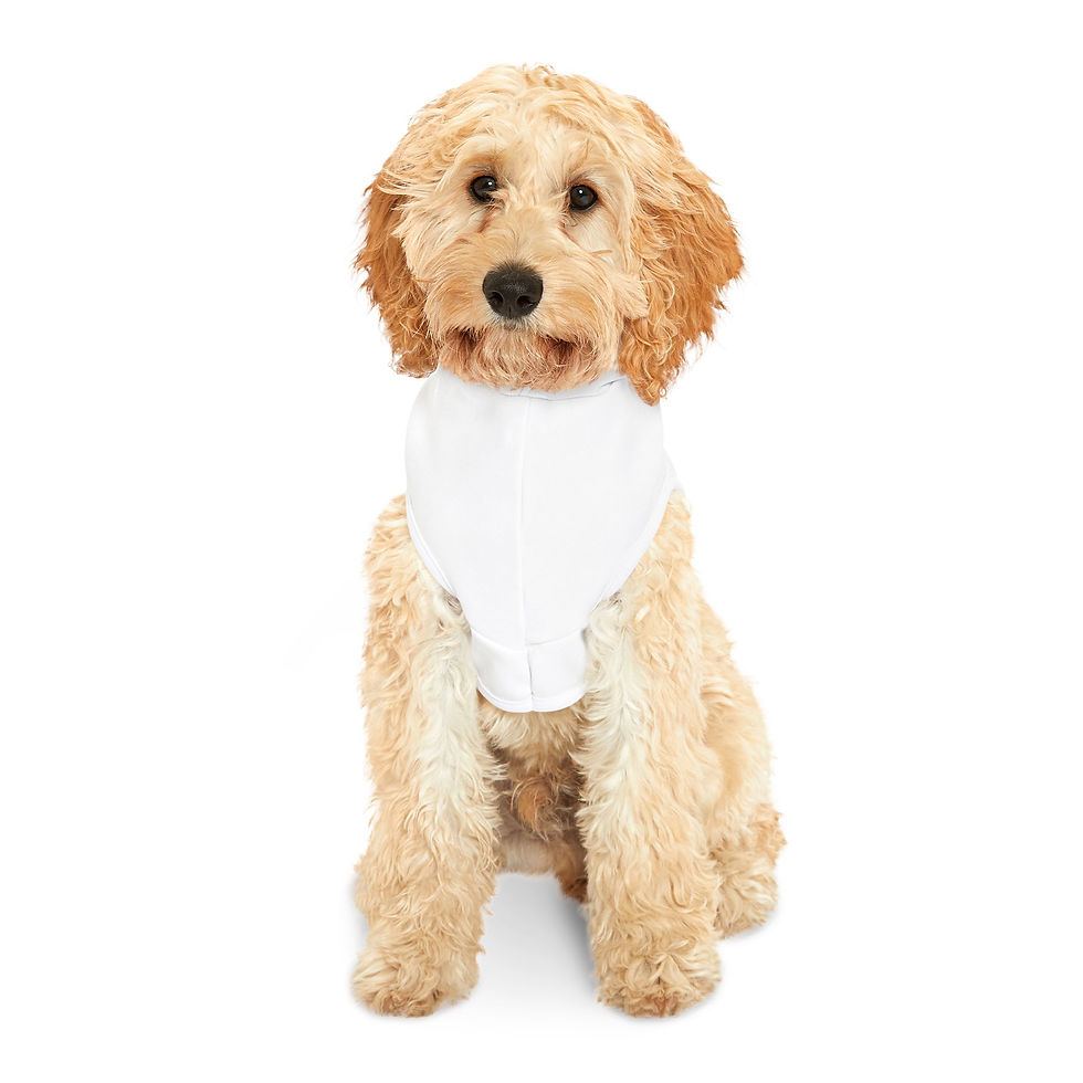 Thumbnail: TK Pet Hoodie