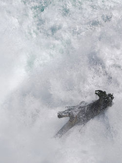 SUIZA - Vicky Ocaña fotografía