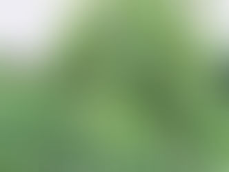 北海道ワイナリー巡り　壱
