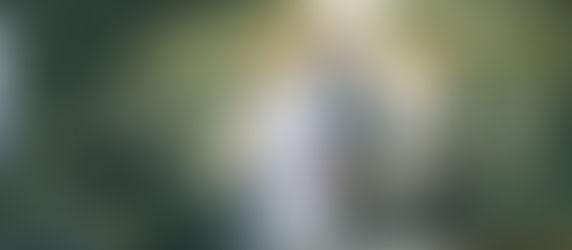 Seattle Wedding Photography – Our Promise