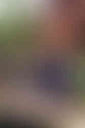 Man writing on an outdoor table with green foliage behind.