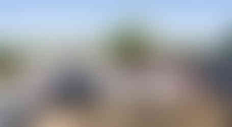 Bride and groom kissing, surrounded by their large wedding party outdoors.