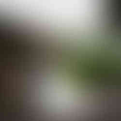 Bride and groom look lovingly at each other, Sanders Estate background.