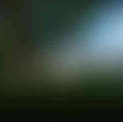 Couple embracing, bouquets nearby, Green Lake proposal