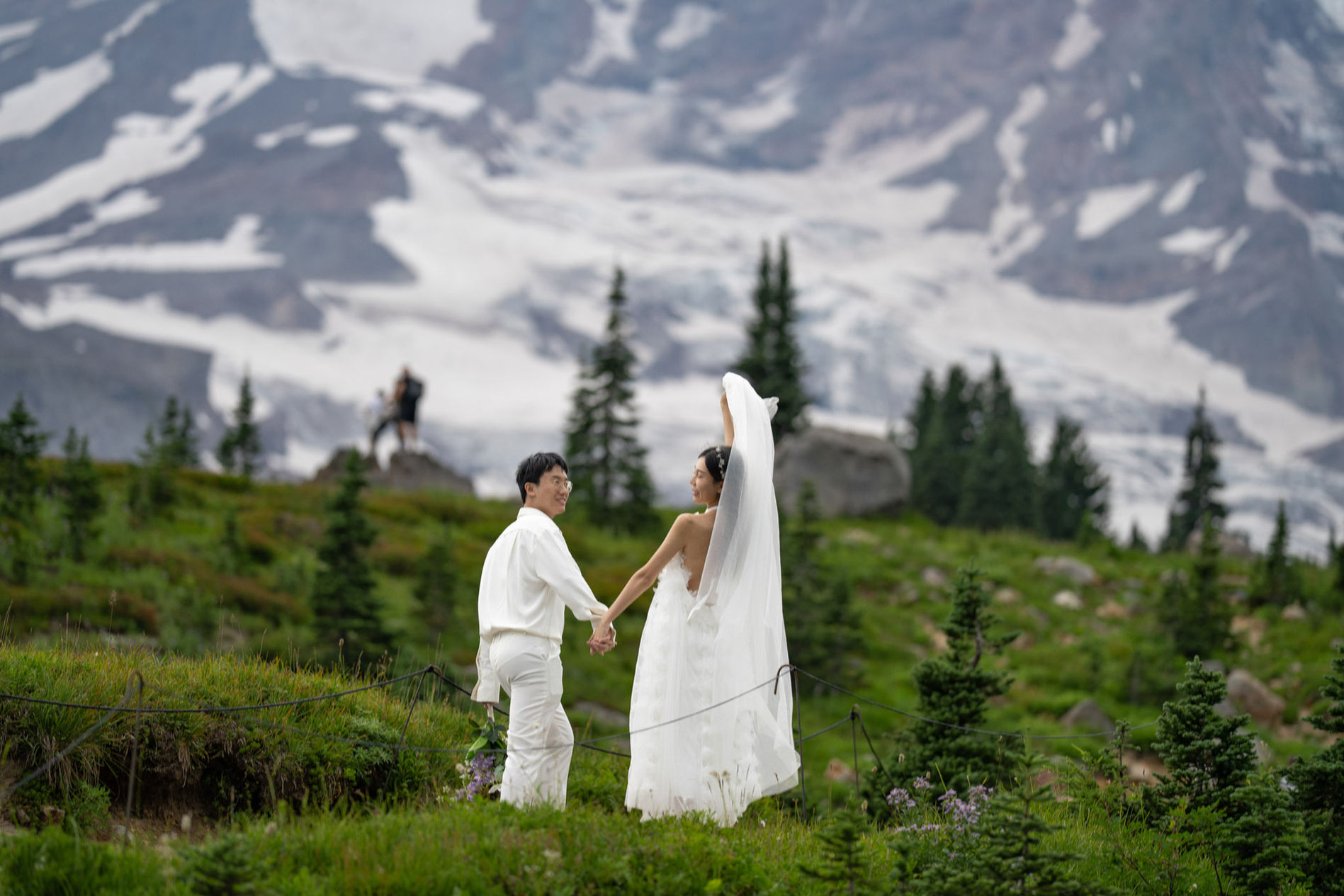 Couple holding hands, Elopement, mountain landscape, PNW elopement photographer.