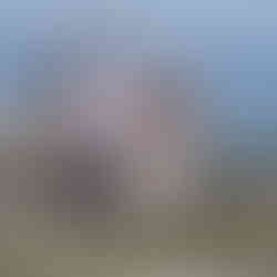 Jessica & Brian holding hands, Meadowdale Beach Park engagement photo